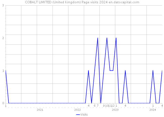 COBALT LIMITED (United Kingdom) Page visits 2024 