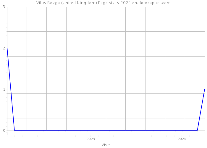 Vilus Rozga (United Kingdom) Page visits 2024 