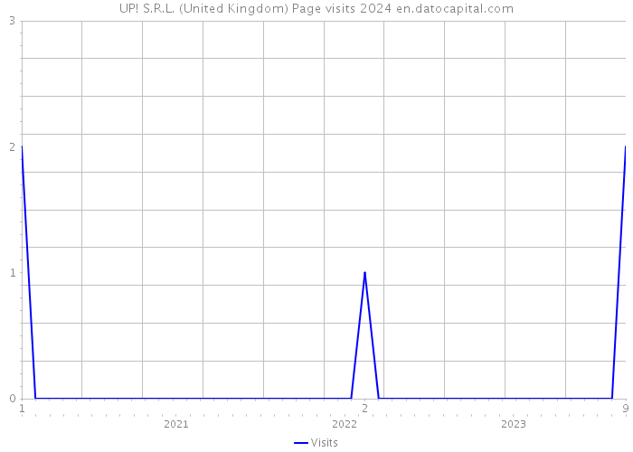UP! S.R.L. (United Kingdom) Page visits 2024 