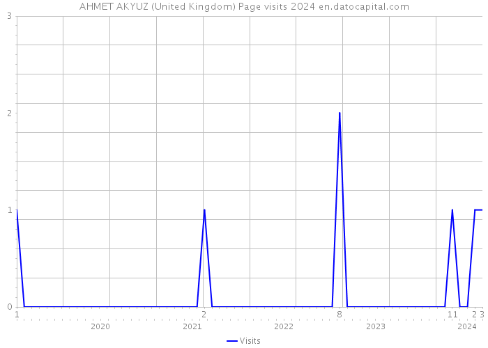 AHMET AKYUZ (United Kingdom) Page visits 2024 