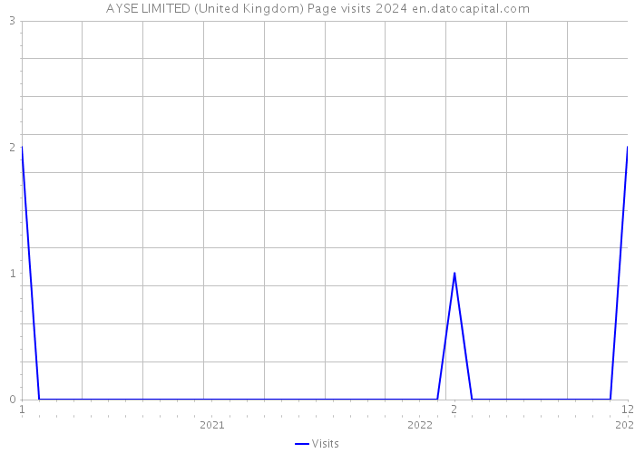 AYSE LIMITED (United Kingdom) Page visits 2024 