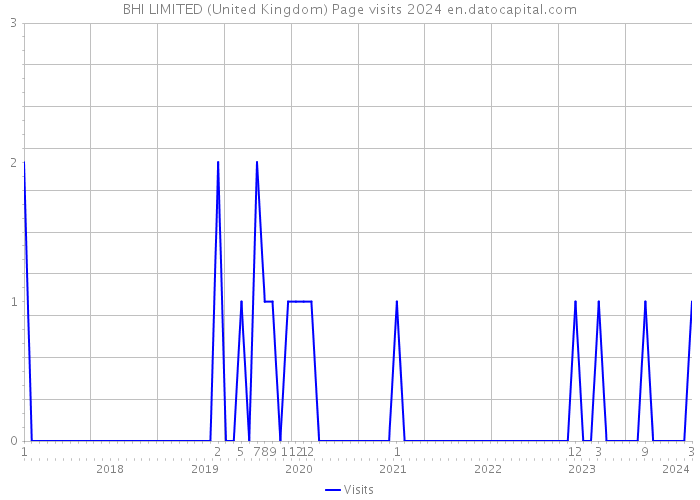 BHI LIMITED (United Kingdom) Page visits 2024 
