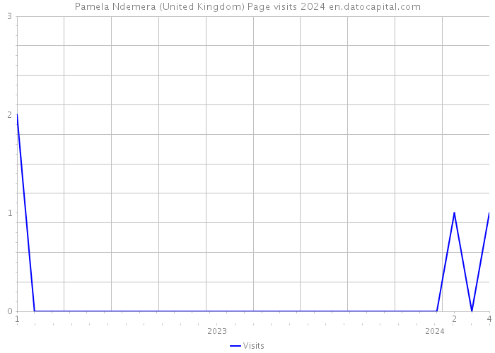 Pamela Ndemera (United Kingdom) Page visits 2024 
