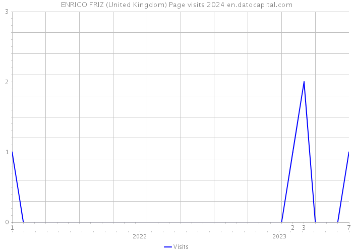 ENRICO FRIZ (United Kingdom) Page visits 2024 