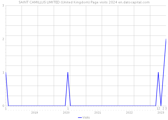 SAINT CAMILLUS LIMITED (United Kingdom) Page visits 2024 