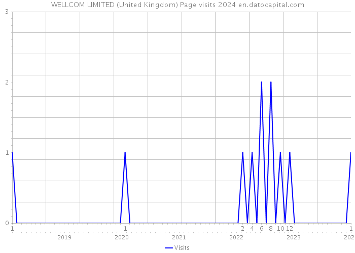 WELLCOM LIMITED (United Kingdom) Page visits 2024 
