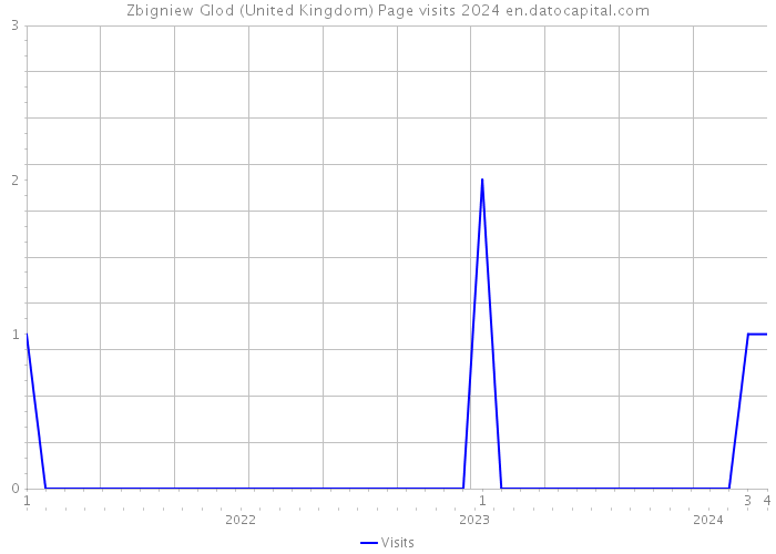 Zbigniew Glod (United Kingdom) Page visits 2024 