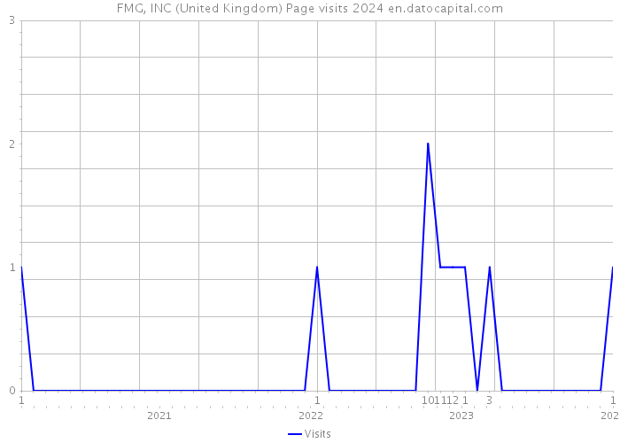 FMG, INC (United Kingdom) Page visits 2024 
