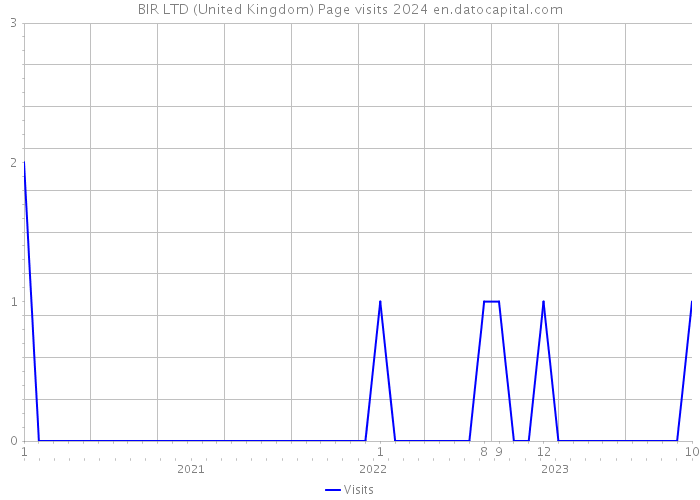 BIR LTD (United Kingdom) Page visits 2024 