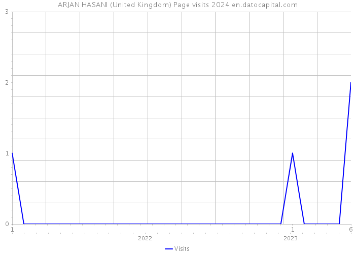 ARJAN HASANI (United Kingdom) Page visits 2024 