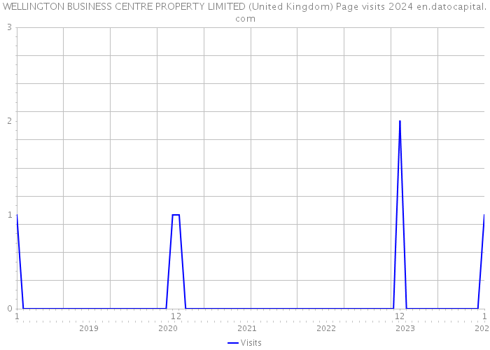 WELLINGTON BUSINESS CENTRE PROPERTY LIMITED (United Kingdom) Page visits 2024 