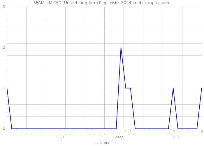 SEAM LIMITED (United Kingdom) Page visits 2024 