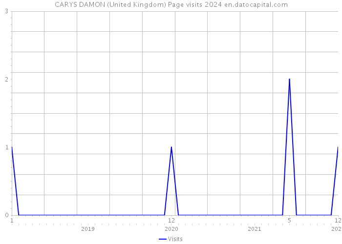 CARYS DAMON (United Kingdom) Page visits 2024 