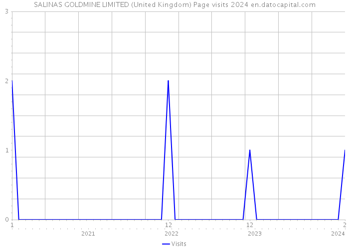 SALINAS GOLDMINE LIMITED (United Kingdom) Page visits 2024 