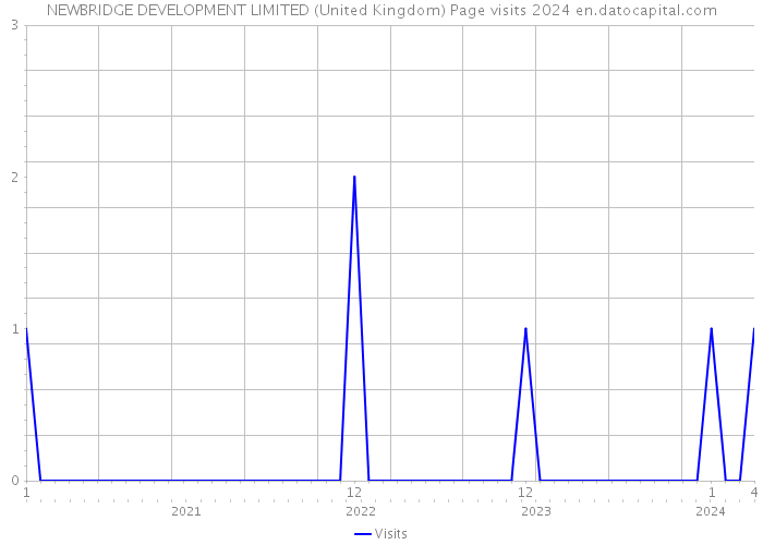 NEWBRIDGE DEVELOPMENT LIMITED (United Kingdom) Page visits 2024 
