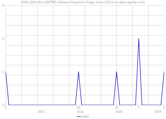 DING JUN HUI LIMITED (United Kingdom) Page visits 2024 