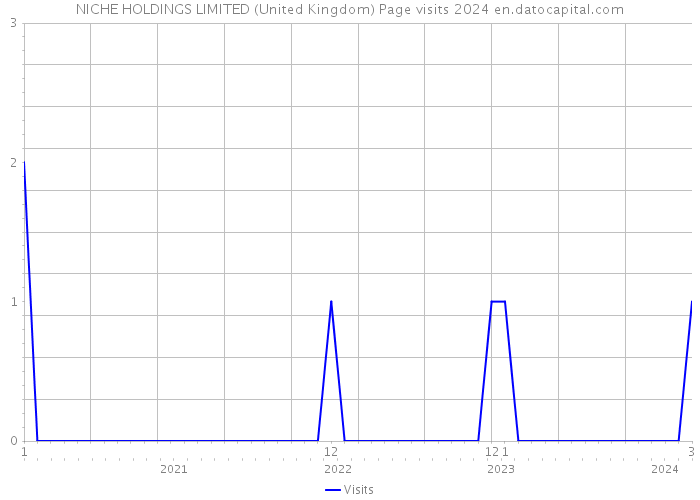 NICHE HOLDINGS LIMITED (United Kingdom) Page visits 2024 