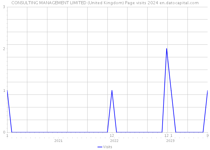 CONSULTING MANAGEMENT LIMITED (United Kingdom) Page visits 2024 