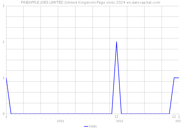 PINEAPPLE JOES LIMITED (United Kingdom) Page visits 2024 