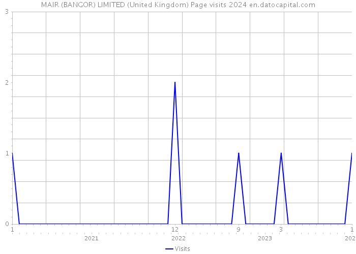 MAIR (BANGOR) LIMITED (United Kingdom) Page visits 2024 