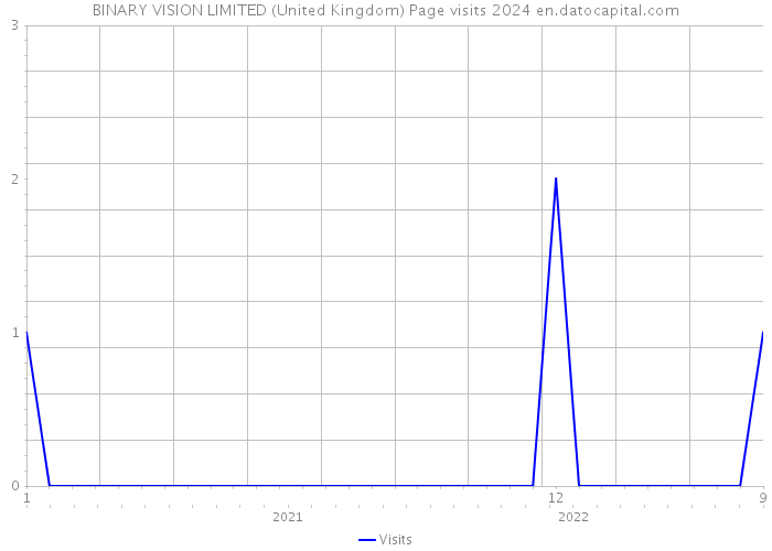 BINARY VISION LIMITED (United Kingdom) Page visits 2024 
