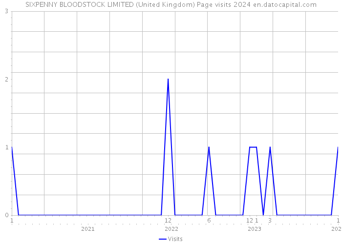 SIXPENNY BLOODSTOCK LIMITED (United Kingdom) Page visits 2024 