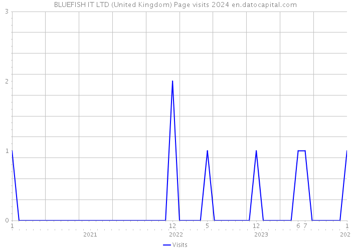 BLUEFISH IT LTD (United Kingdom) Page visits 2024 