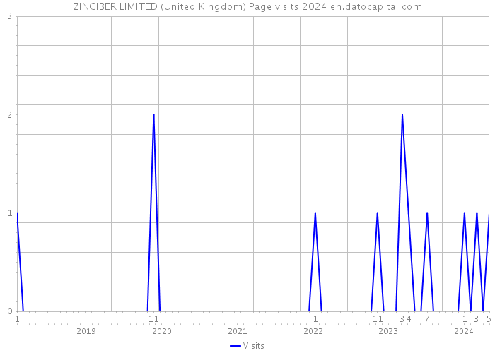 ZINGIBER LIMITED (United Kingdom) Page visits 2024 