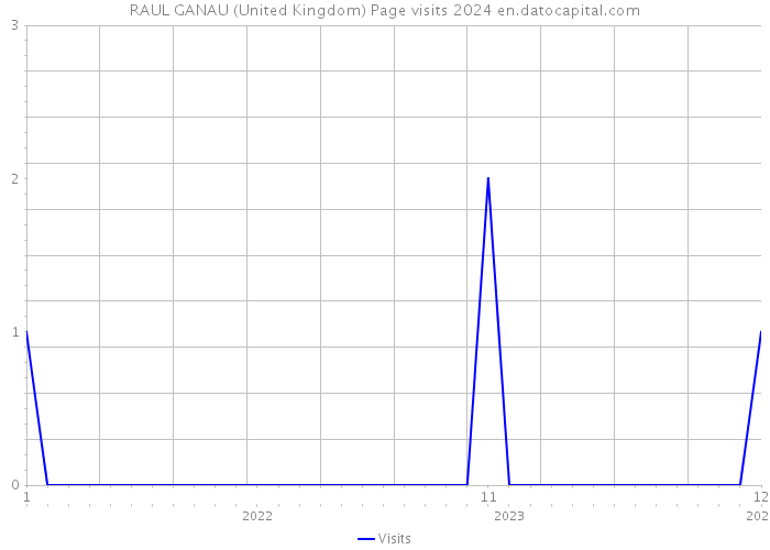 RAUL GANAU (United Kingdom) Page visits 2024 