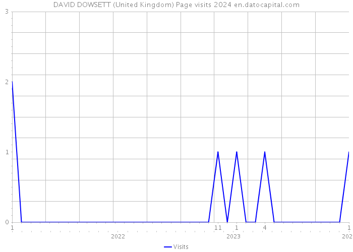 DAVID DOWSETT (United Kingdom) Page visits 2024 