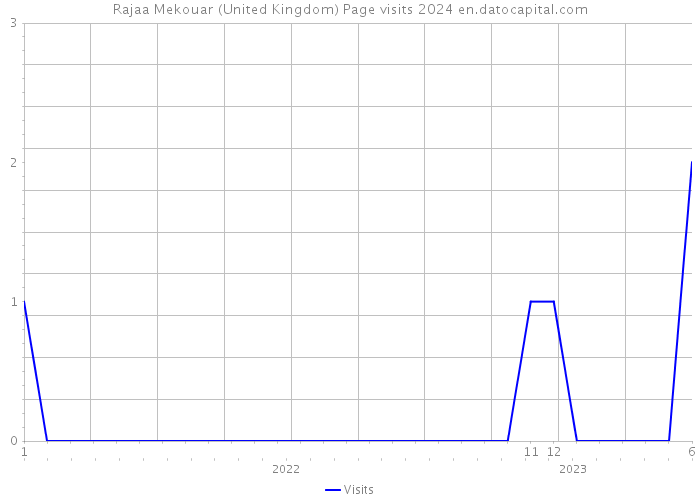 Rajaa Mekouar (United Kingdom) Page visits 2024 