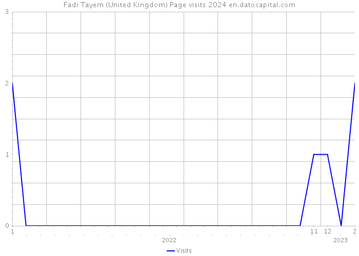 Fadi Tayem (United Kingdom) Page visits 2024 