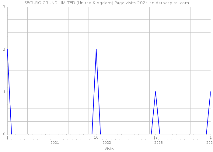 SEGURO GRUND LIMITED (United Kingdom) Page visits 2024 