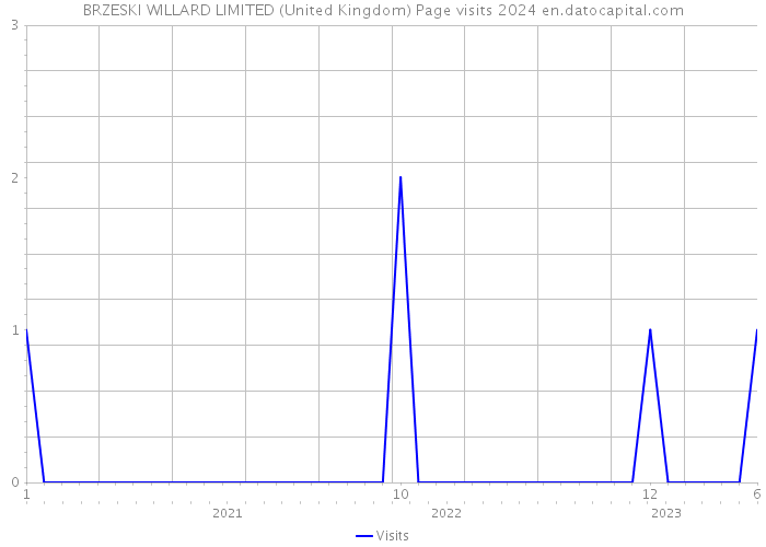 BRZESKI WILLARD LIMITED (United Kingdom) Page visits 2024 