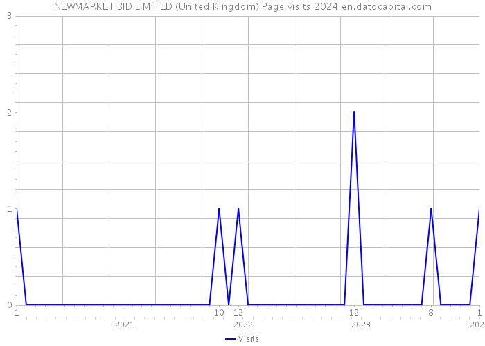 NEWMARKET BID LIMITED (United Kingdom) Page visits 2024 