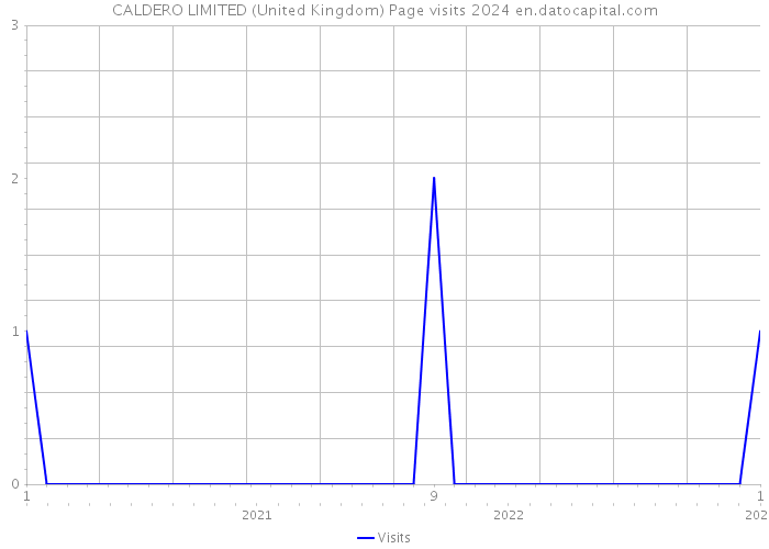 CALDERO LIMITED (United Kingdom) Page visits 2024 
