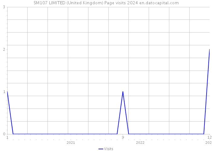 SM107 LIMITED (United Kingdom) Page visits 2024 
