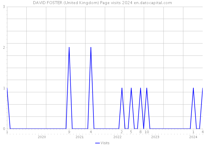 DAVID FOSTER (United Kingdom) Page visits 2024 