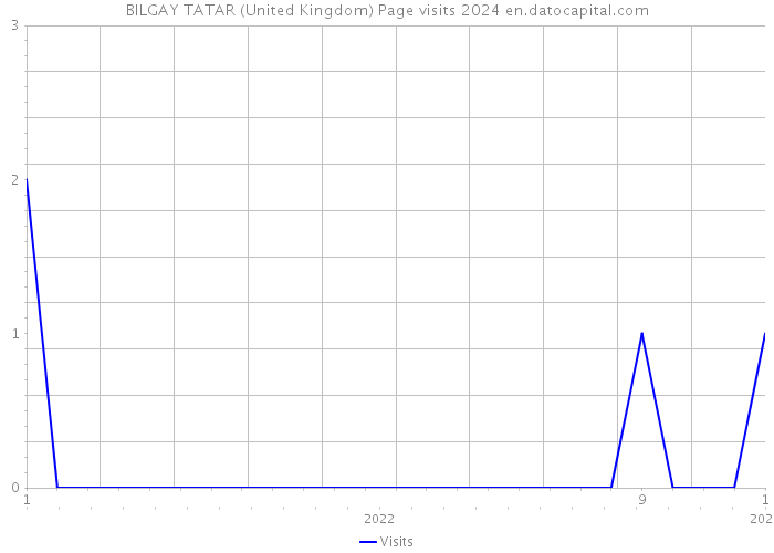 BILGAY TATAR (United Kingdom) Page visits 2024 
