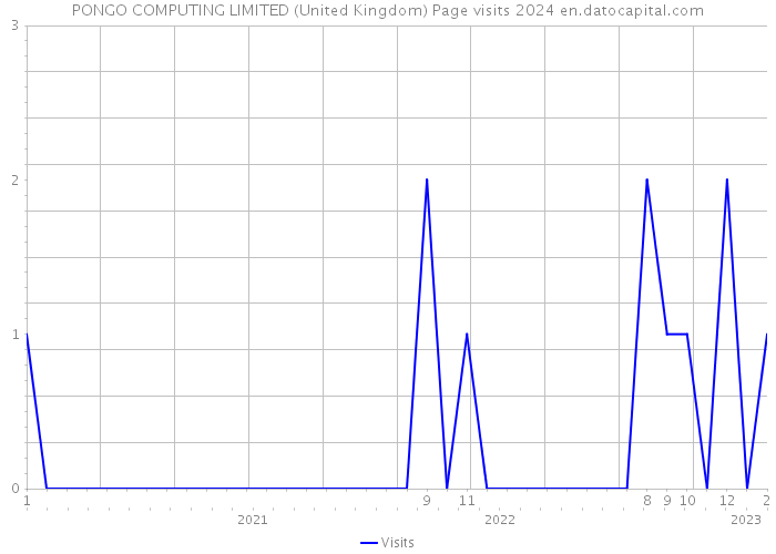 PONGO COMPUTING LIMITED (United Kingdom) Page visits 2024 