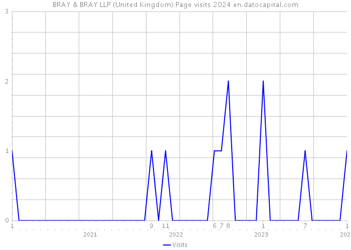 BRAY & BRAY LLP (United Kingdom) Page visits 2024 