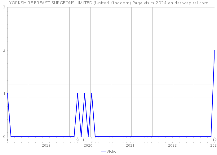 YORKSHIRE BREAST SURGEONS LIMITED (United Kingdom) Page visits 2024 