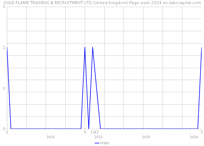 GOLD FLAME TRAINING & RECRUITMENT LTD (United Kingdom) Page visits 2024 