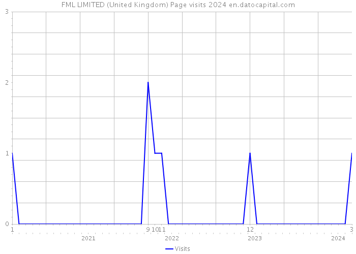 FML LIMITED (United Kingdom) Page visits 2024 