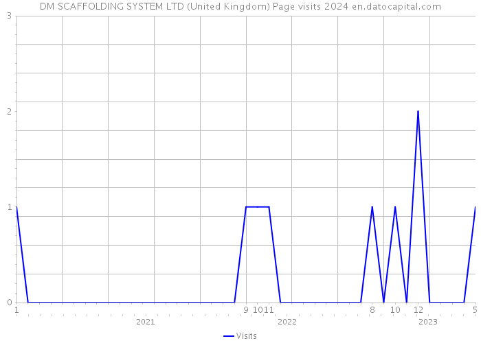 DM SCAFFOLDING SYSTEM LTD (United Kingdom) Page visits 2024 