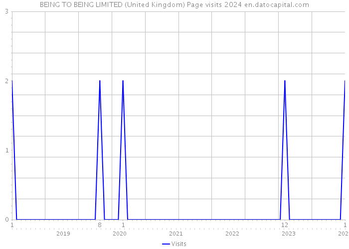 BEING TO BEING LIMITED (United Kingdom) Page visits 2024 