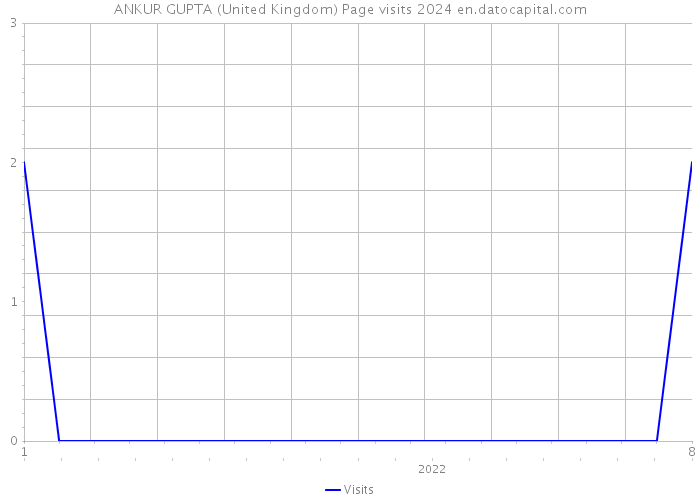 ANKUR GUPTA (United Kingdom) Page visits 2024 