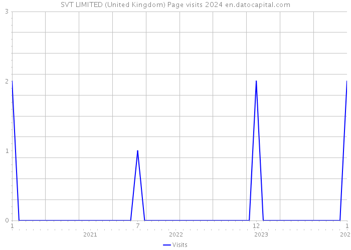 SVT LIMITED (United Kingdom) Page visits 2024 