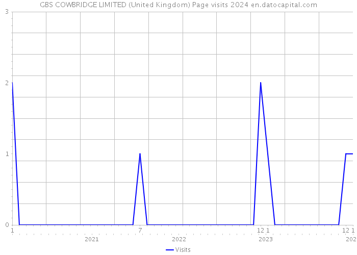 GBS COWBRIDGE LIMITED (United Kingdom) Page visits 2024 