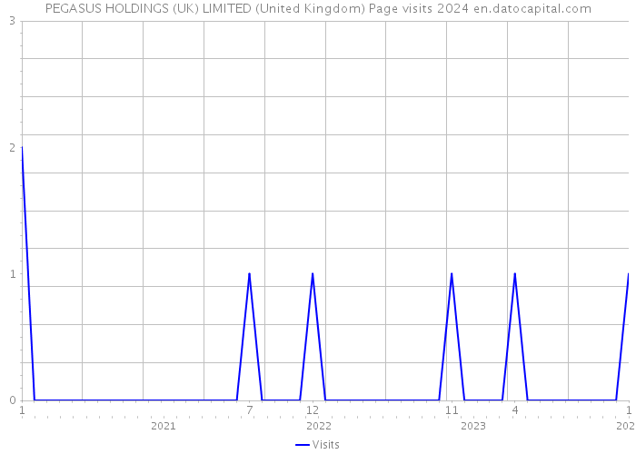PEGASUS HOLDINGS (UK) LIMITED (United Kingdom) Page visits 2024 